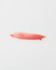 Mineral Lip Tint SPF 20 (Mastic Rose)
